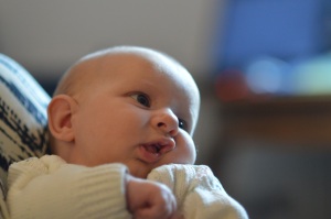DSC_0240_crop