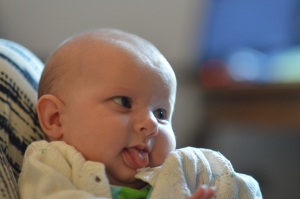 DSC_0242_crop